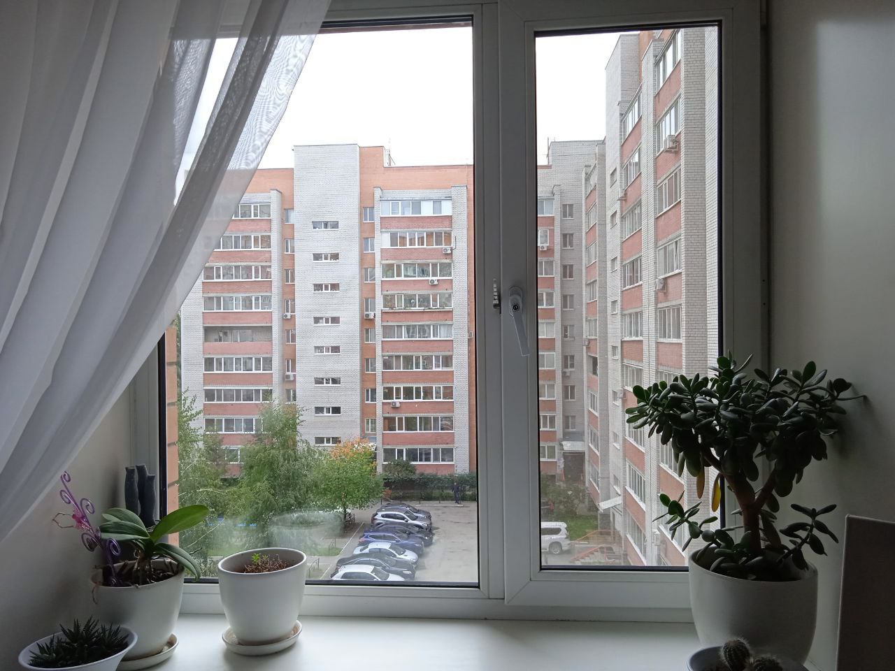 https://nizhnijnovgorod.delaem-okna.ru/storage/app/uploads/public/63f/331/482/63f331482975f325093091.jpg